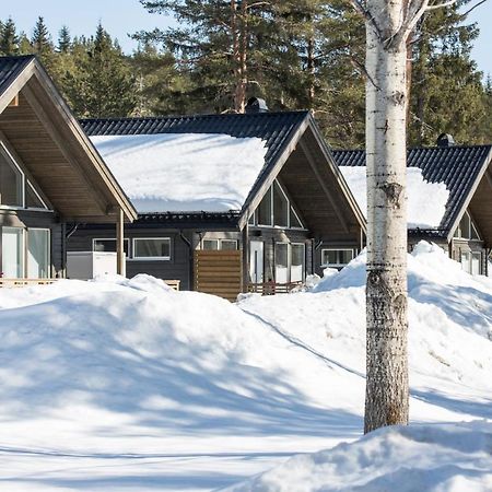 Jockfall Fishing And Activities - Oeverkalix Eksteriør billede