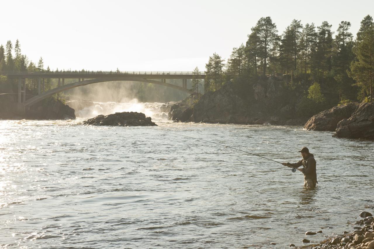 Jockfall Fishing And Activities - Oeverkalix Eksteriør billede