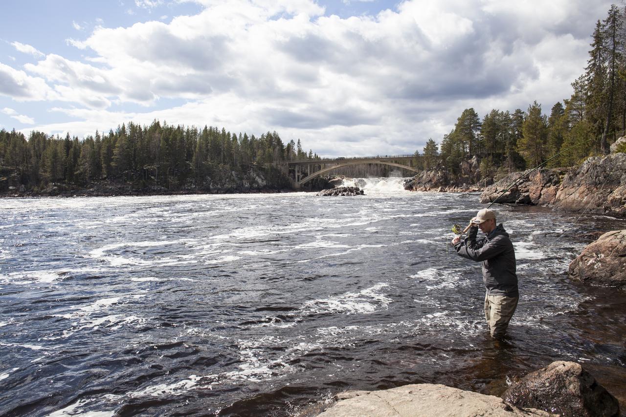 Jockfall Fishing And Activities - Oeverkalix Eksteriør billede